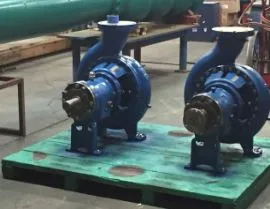 Process pumps servicing